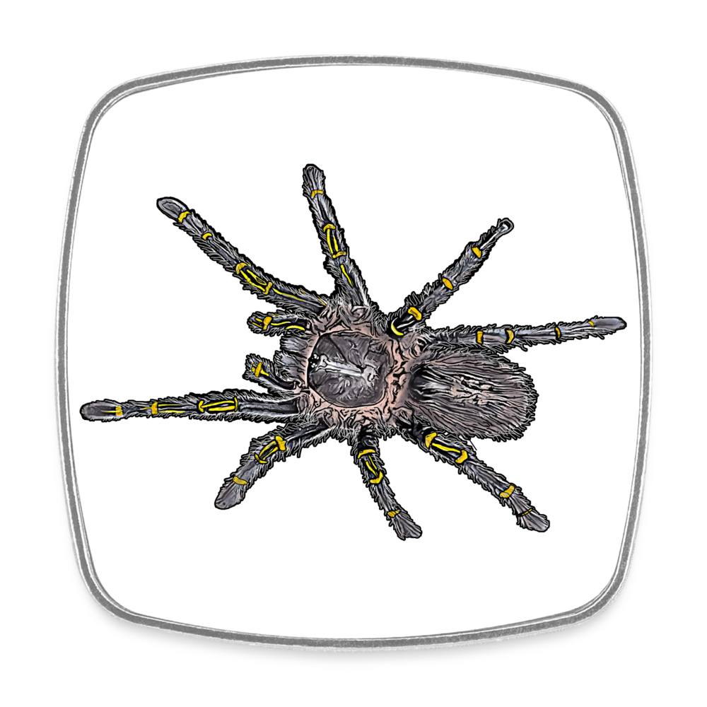 Kühlschrankmagnet eckig Grammostola pulchripes - weiß