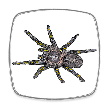 Kühlschrankmagnet eckig Grammostola pulchripes - weiß