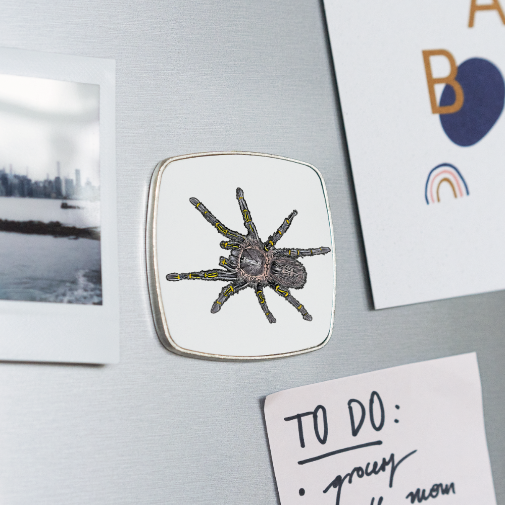 Kühlschrankmagnet eckig Grammostola pulchripes - weiß