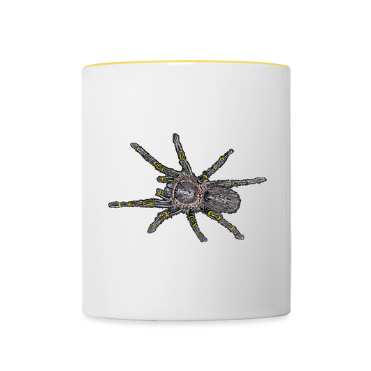 Tasse farbig Grammostola pulchripes - Weiß/Gelb