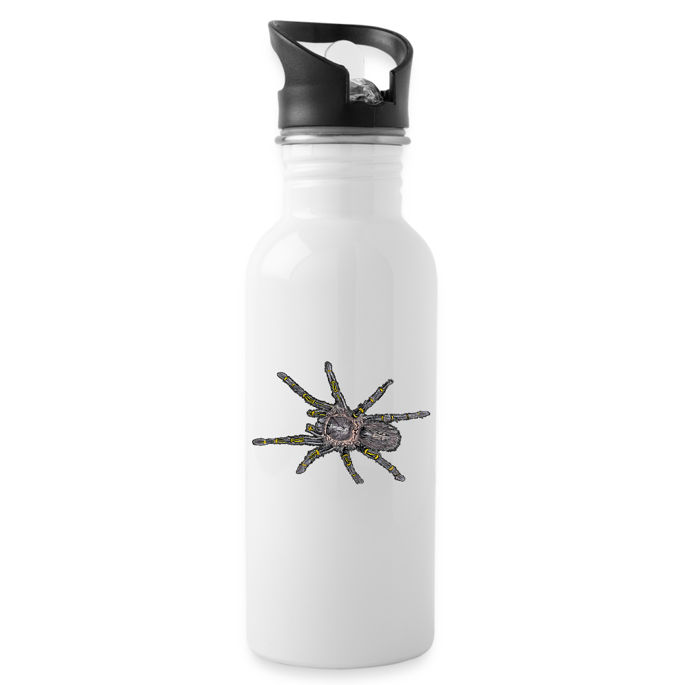 Trinkflasche Grammostola pulchripes - weiß