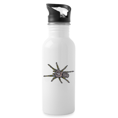 Trinkflasche Grammostola pulchripes - weiß