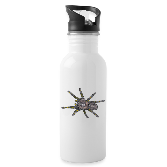Trinkflasche Grammostola pulchripes - weiß
