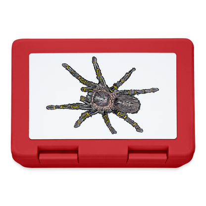 Lunchbox Grammostola pulchripes - Rot