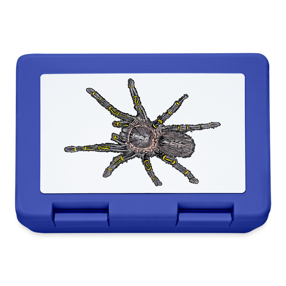 Lunchbox Grammostola pulchripes - Royalblau