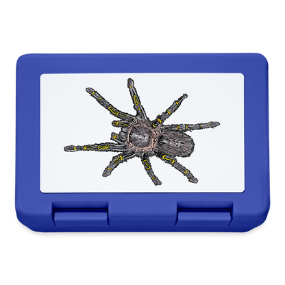 Lunchbox Grammostola pulchripes - Royalblau