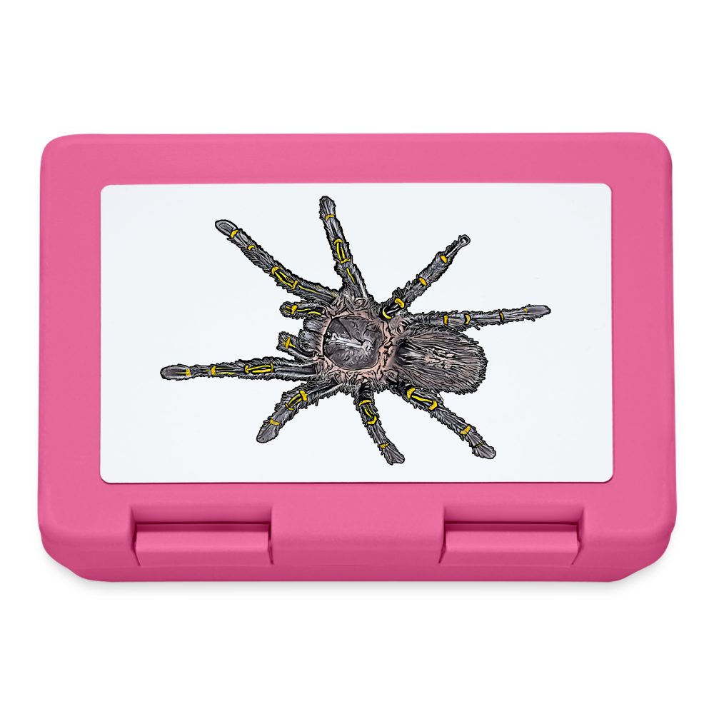 Lunchbox Grammostola pulchripes - Pink