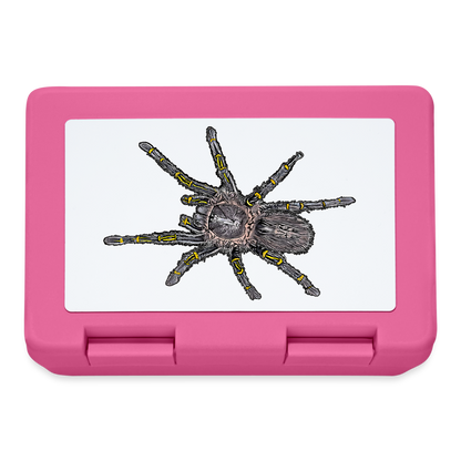 Lunchbox Grammostola pulchripes - Pink