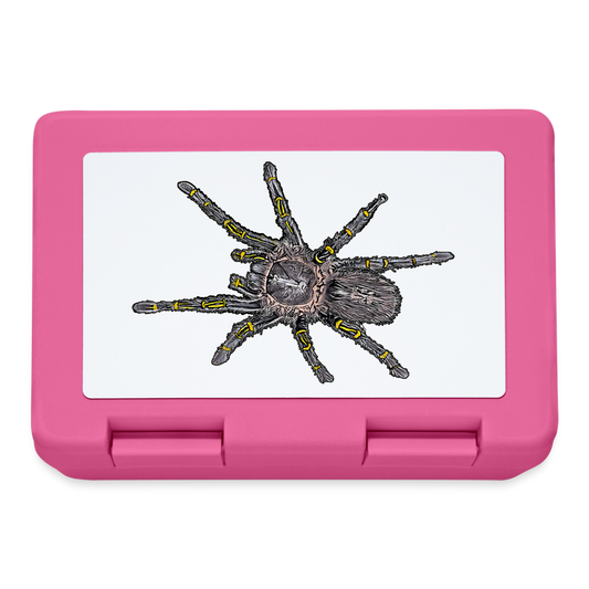 Lunchbox Grammostola pulchripes - Pink