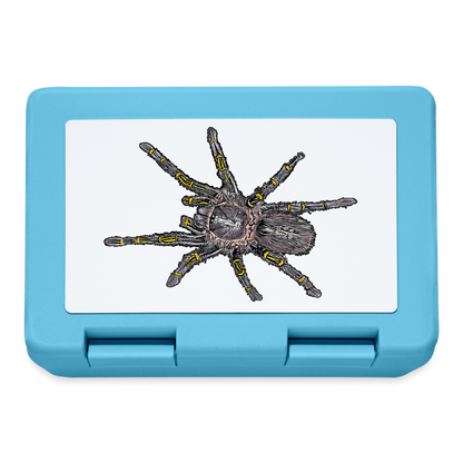 Lunchbox Grammostola pulchripes - Saphirblau