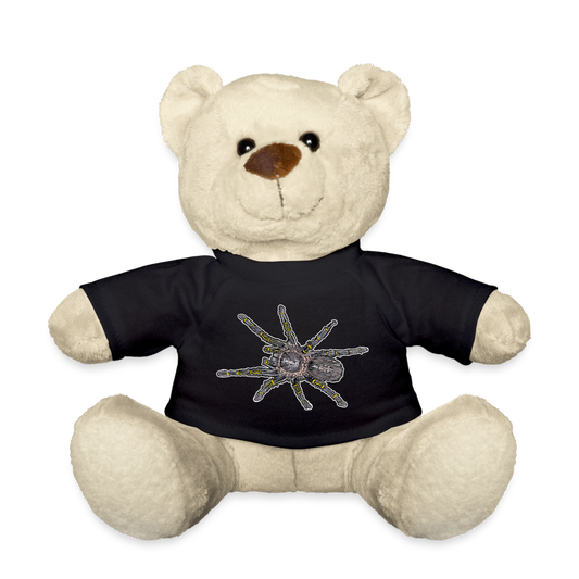 Teddy Grammostola pulchripes - Schwarz