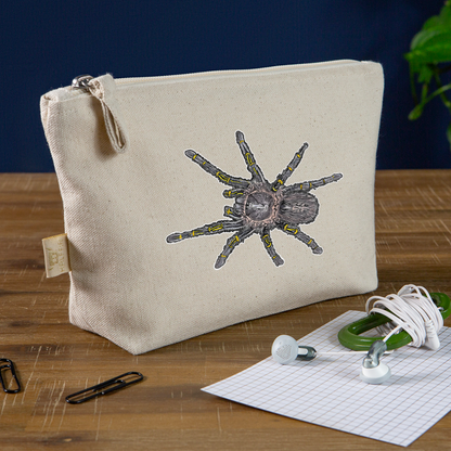 Täschchen Grammostola pulchripes - Natur