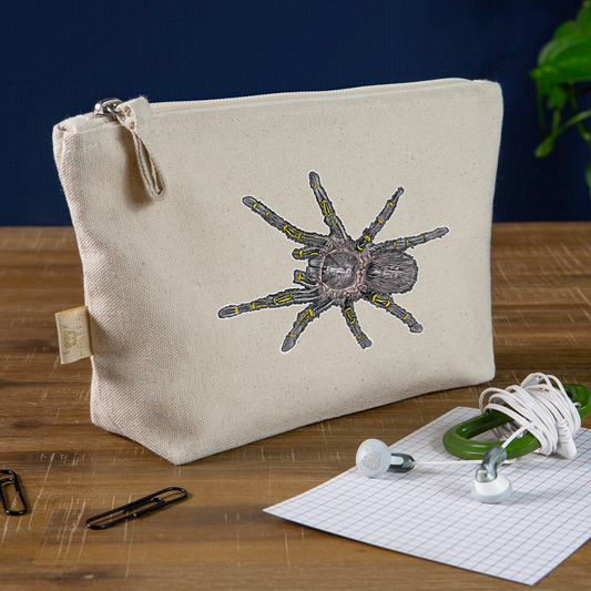 Täschchen Grammostola pulchripes - Natur