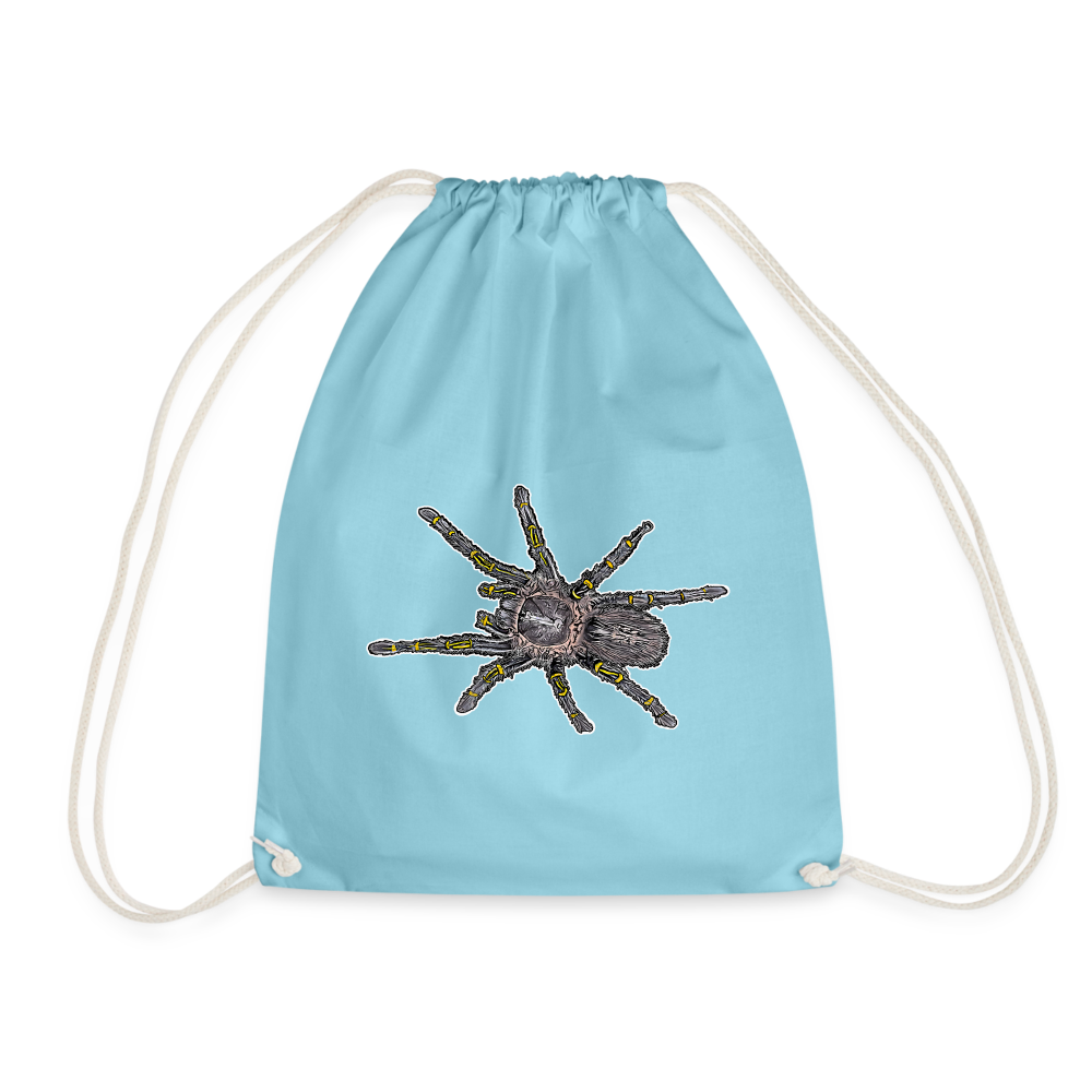 Turnbeutel Grammostola pulchripes - Aqua