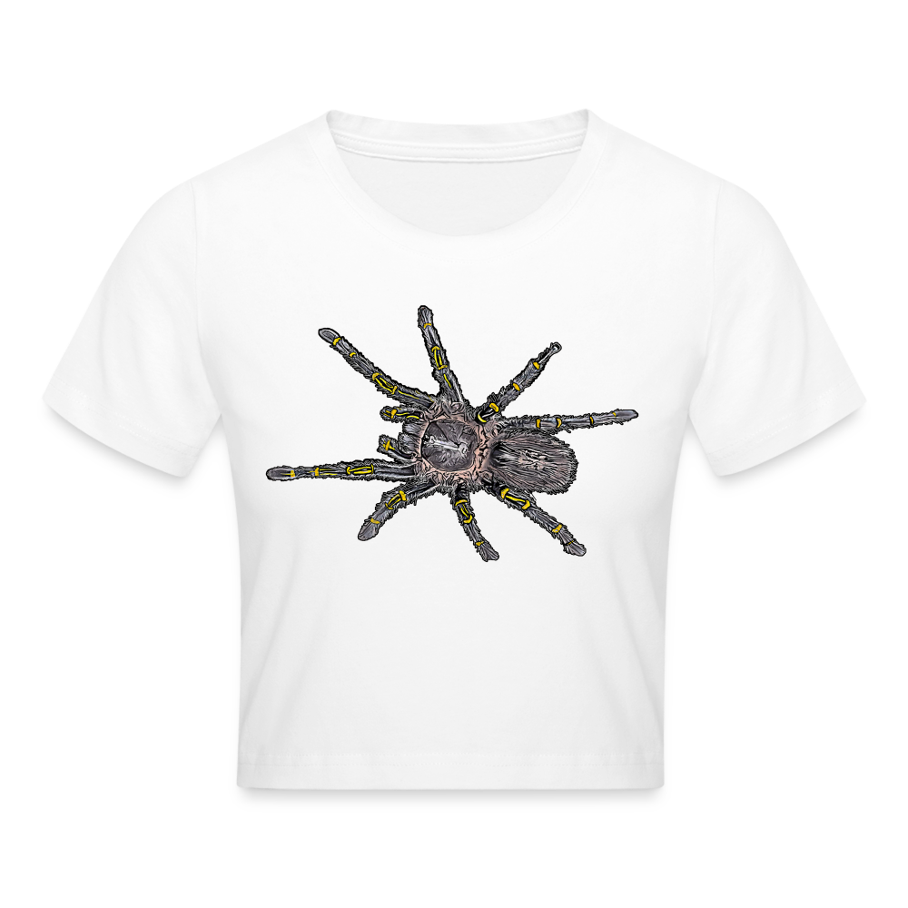 Crop T-Shirt Grammostola pulchripes - weiß