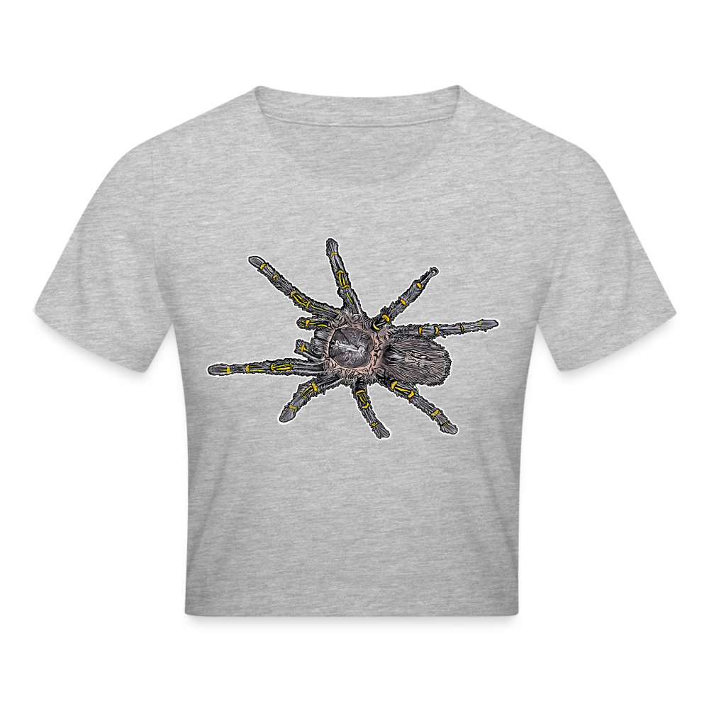 Crop T-Shirt Grammostola pulchripes - Grau meliert