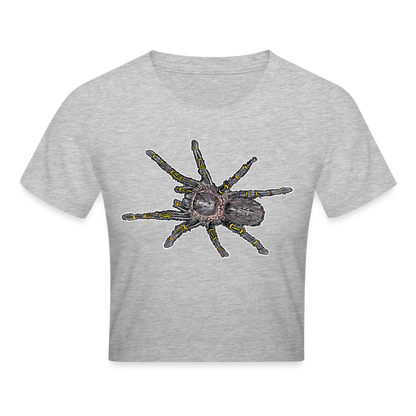 Crop T-Shirt Grammostola pulchripes - Grau meliert