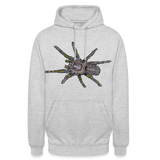 Unisex Hoodie Grammostola pulchripes - Hellgrau meliert