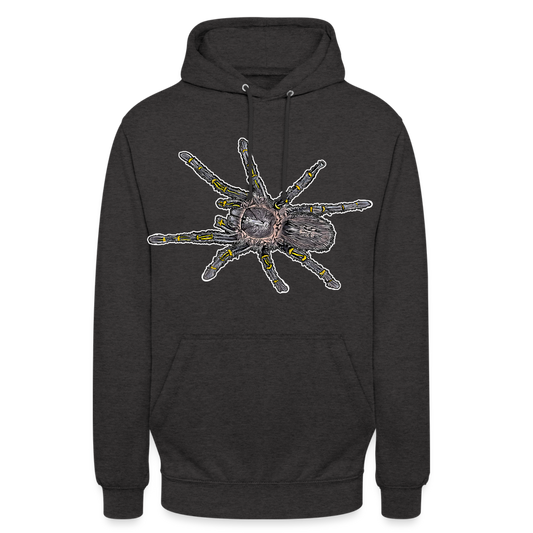 Unisex Hoodie Grammostola pulchripes - Anthrazit