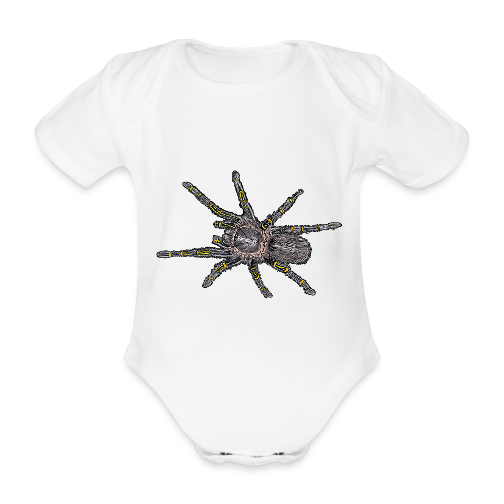 Baby Body kurz Grammostola pulchripes - weiß