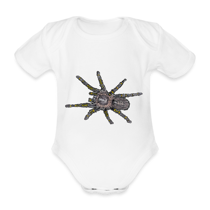 Baby Body kurz Grammostola pulchripes - weiß