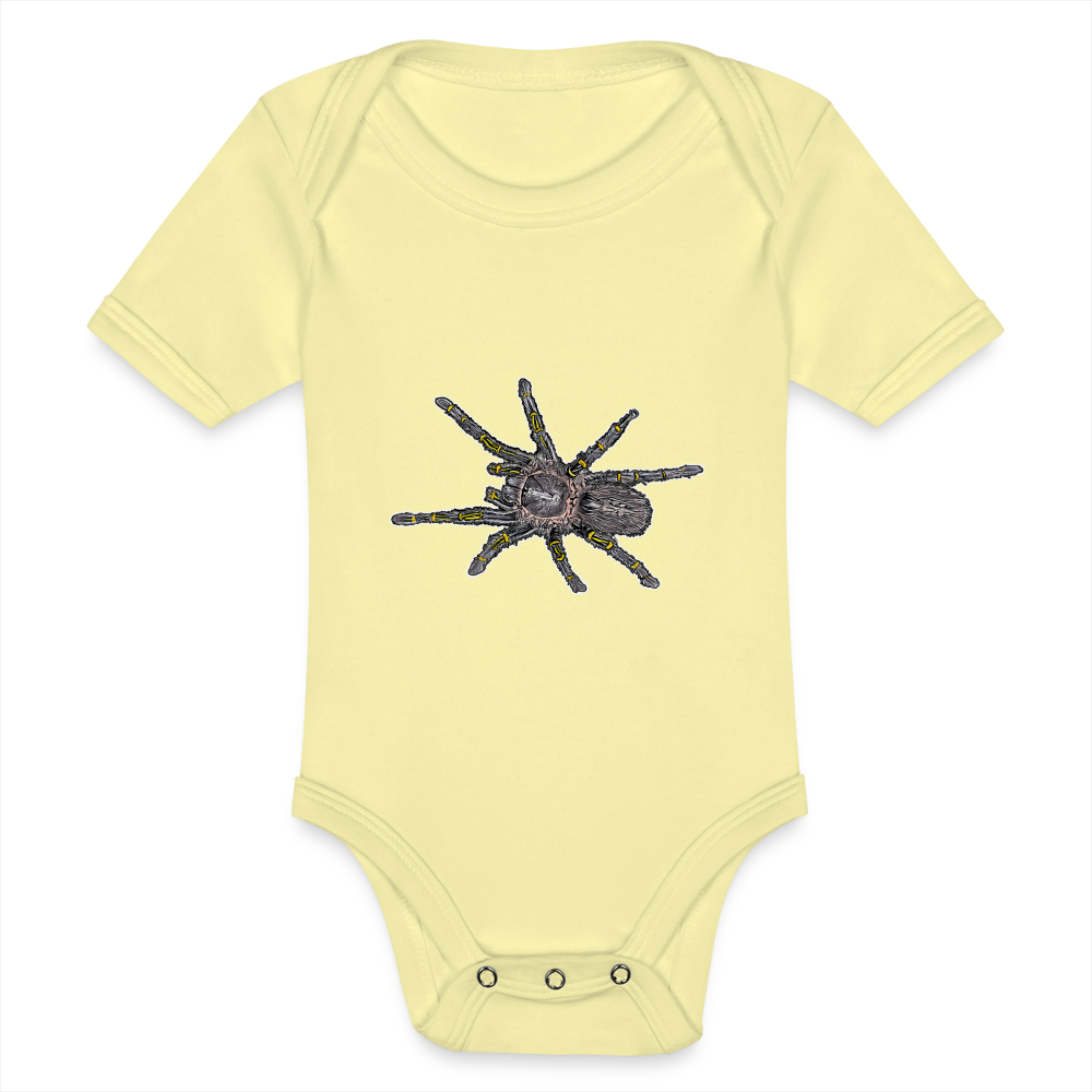 Baby Body kurz Grammostola pulchripes - Hellgelb