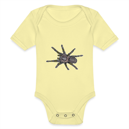 Baby Body kurz Grammostola pulchripes - Hellgelb