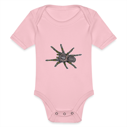 Baby Body kurz Grammostola pulchripes - Hellrosa