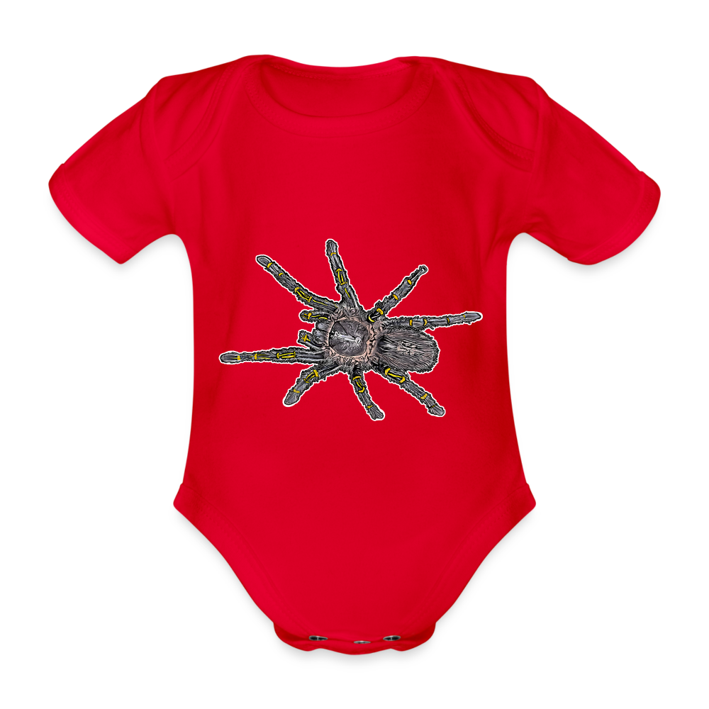 Baby Body kurz Grammostola pulchripes - Rot