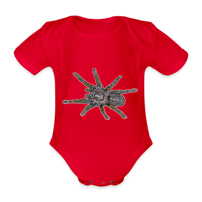 Baby Body kurz Grammostola pulchripes - Rot