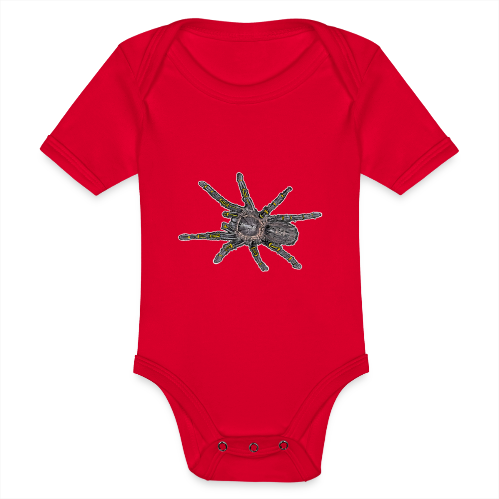 Baby Body kurz Grammostola pulchripes - Rot