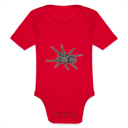 Baby Body kurz Grammostola pulchripes - Rot