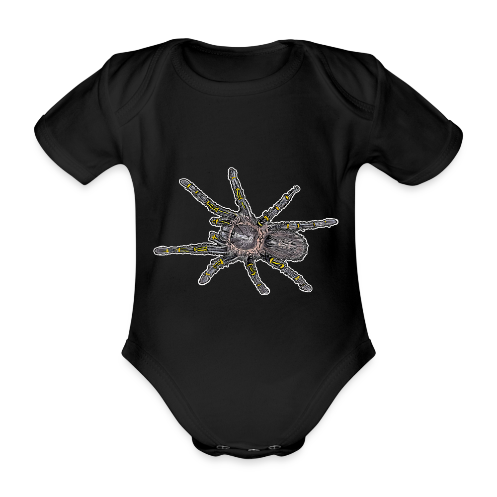 Baby Body kurz Grammostola pulchripes - Schwarz