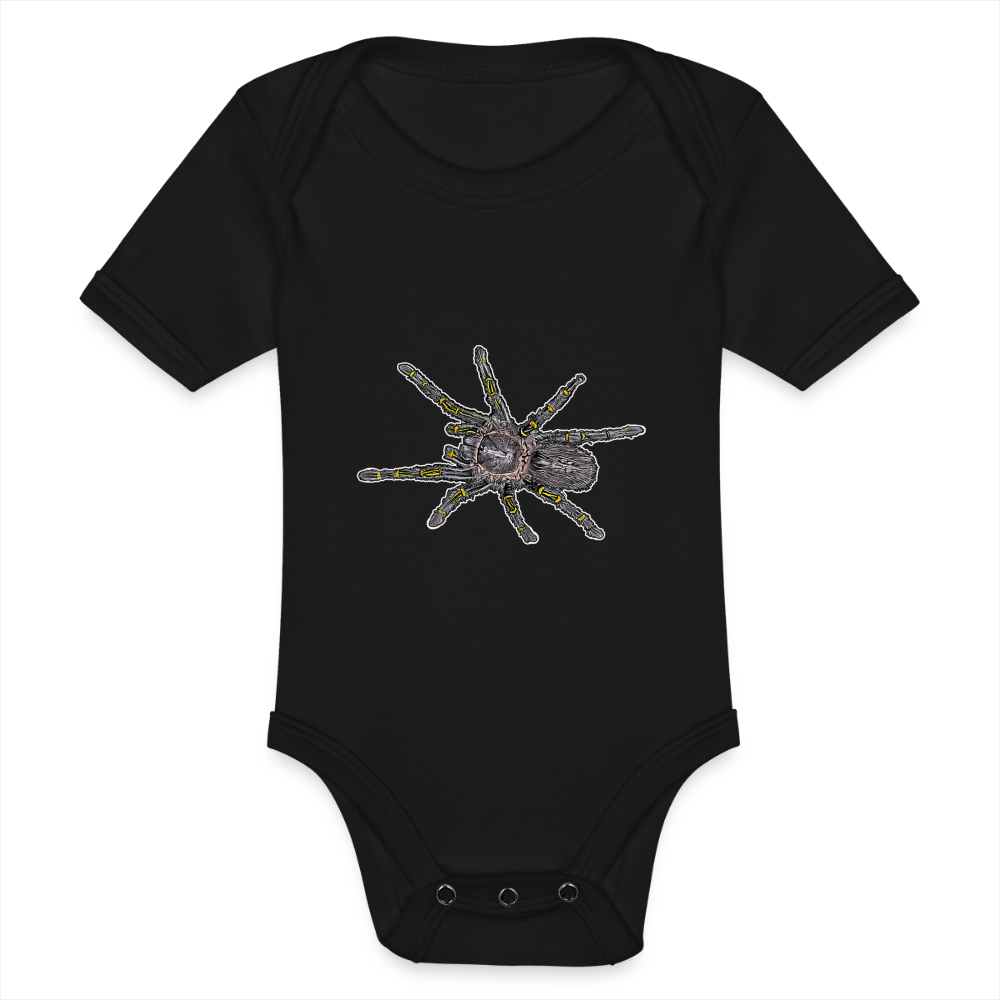 Baby Body kurz Grammostola pulchripes - Schwarz