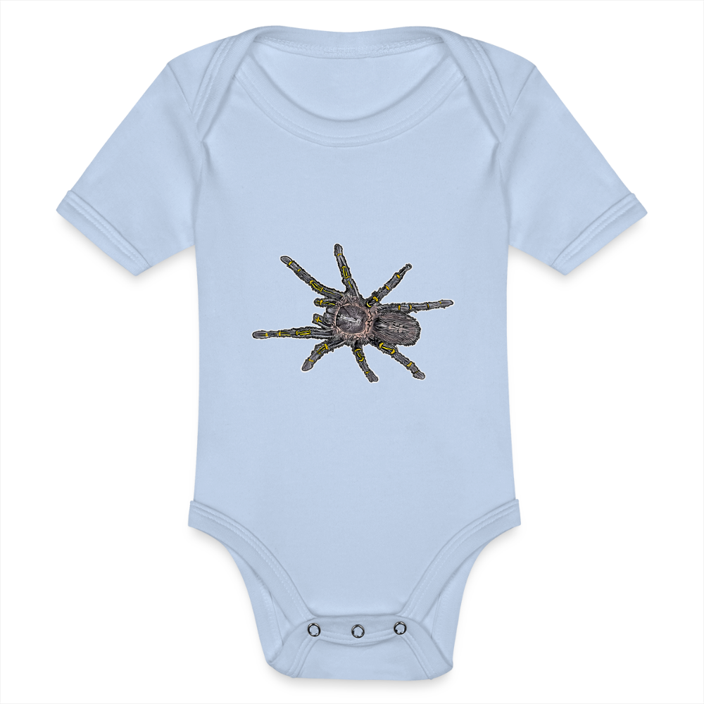 Baby Body kurz Grammostola pulchripes - Sky