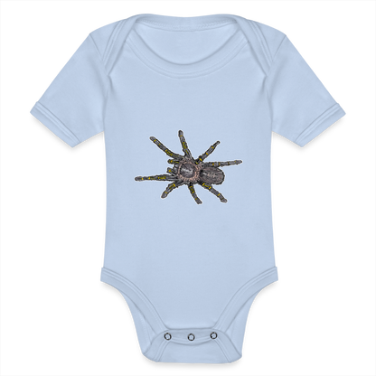 Baby Body kurz Grammostola pulchripes - Sky