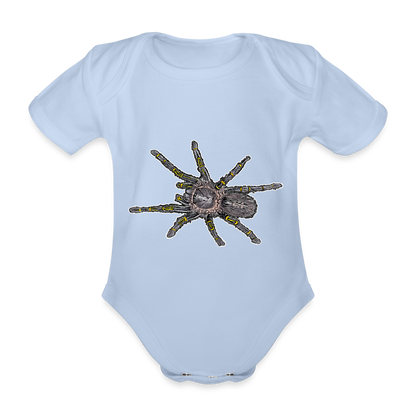 Baby Body kurz Grammostola pulchripes - Sky