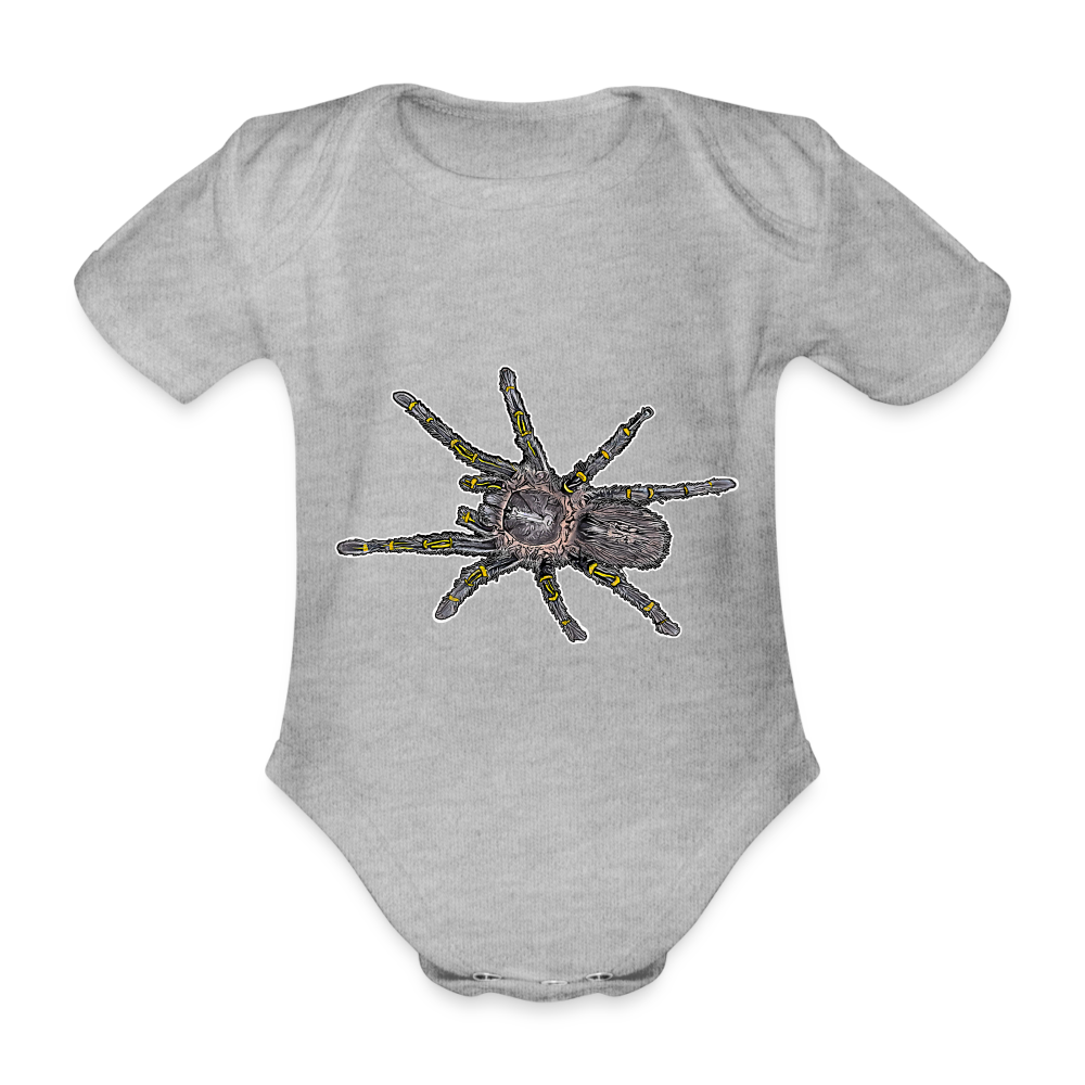 Baby Body kurz Grammostola pulchripes - Grau meliert