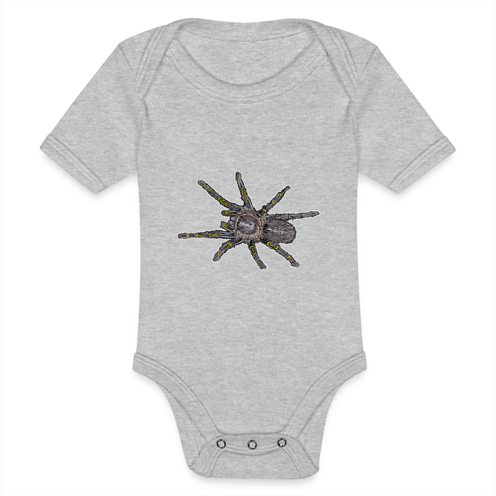 Baby Body kurz Grammostola pulchripes - Grau meliert