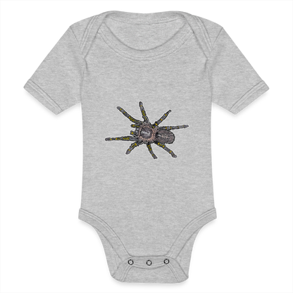 Baby Body kurz Grammostola pulchripes - Grau meliert