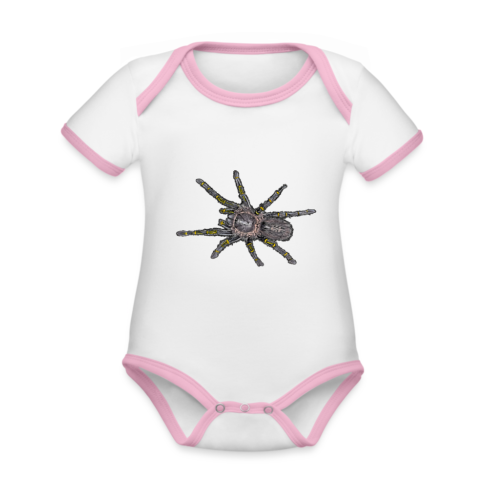 Baby Kontrastbody kurz Grammostola pulchripes - Weiß/Rose