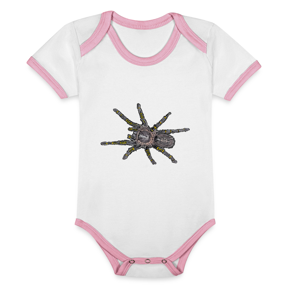 Baby Kontrastbody kurz Grammostola pulchripes - Weiß/Rose