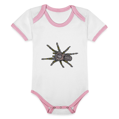 Baby Kontrastbody kurz Grammostola pulchripes - Weiß/Rose