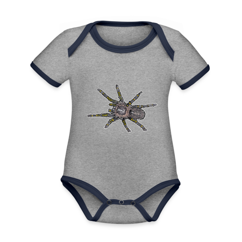 Baby Kontrastbody kurz Grammostola pulchripes - Grau meliert/Navy