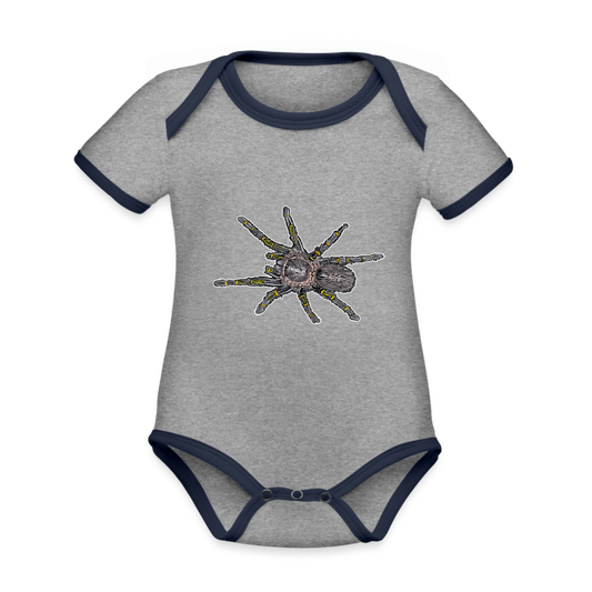 Baby Kontrastbody kurz Grammostola pulchripes - Grau meliert/Navy