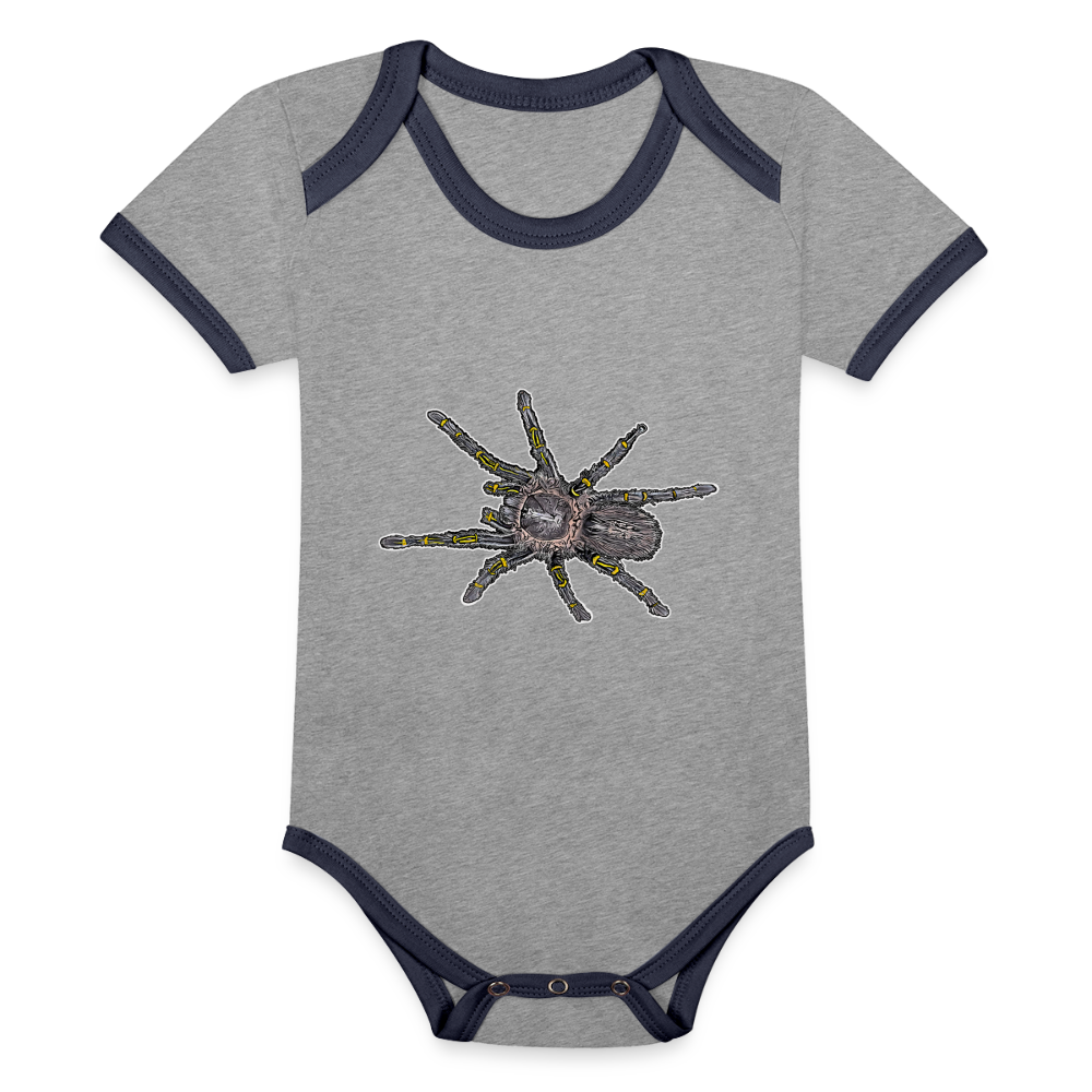 Baby Kontrastbody kurz Grammostola pulchripes - Grau meliert/Navy
