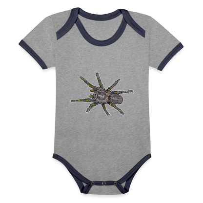 Baby Kontrastbody kurz Grammostola pulchripes - Grau meliert/Navy
