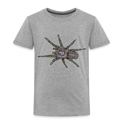 Kinder Basic T-Shirt Grammostola pulchripes - Grau meliert