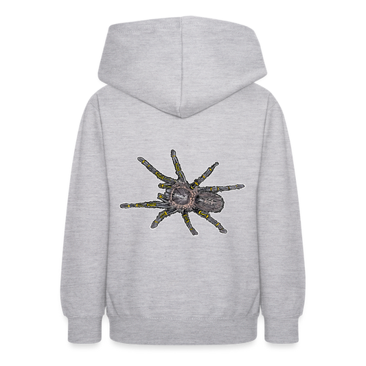Teenager Hoodie Grammostola pulchripes - Hellgrau meliert