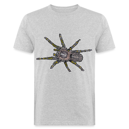 Männer Bio-T-Shirt Grammostola pulchripes - Grau meliert